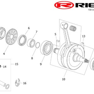 CRANKSHAFT ASSEMBLY